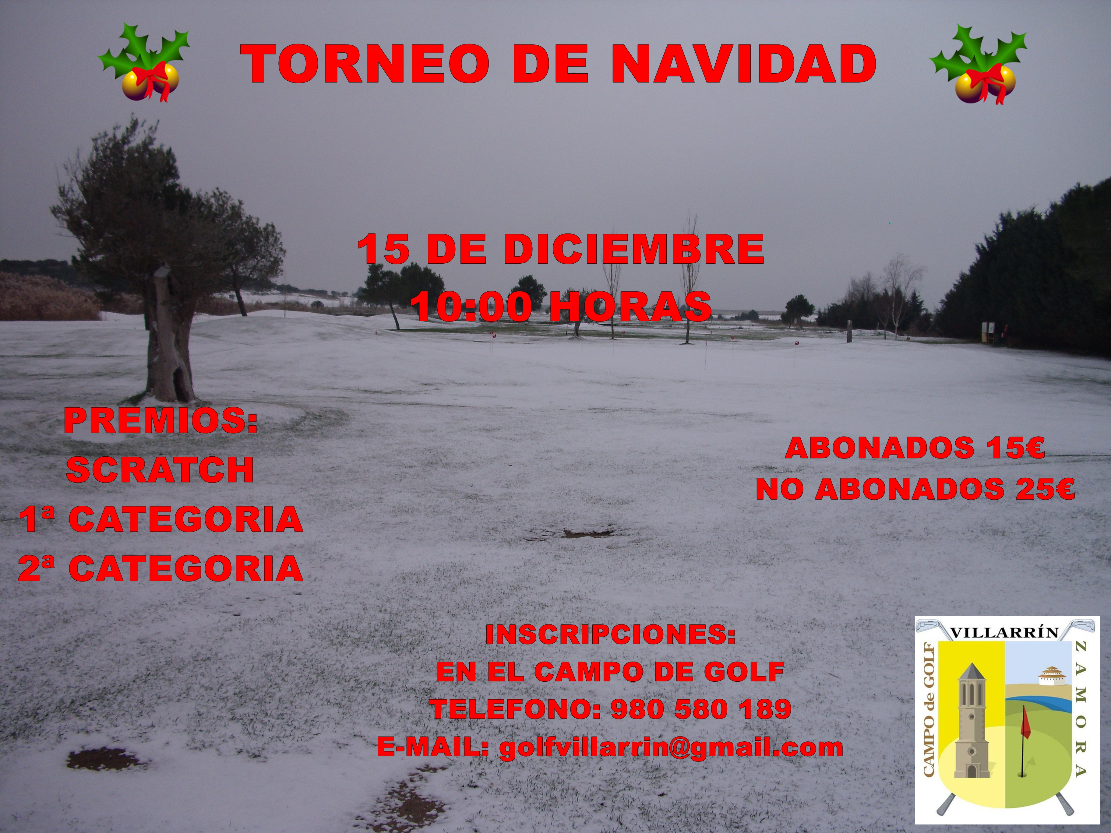 CARTEL navidad24